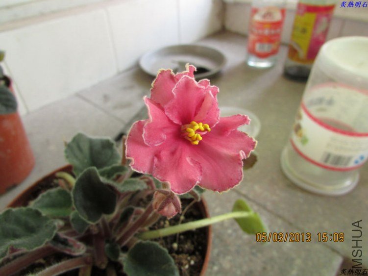 IMG_3193_nEO_IMG.jpg