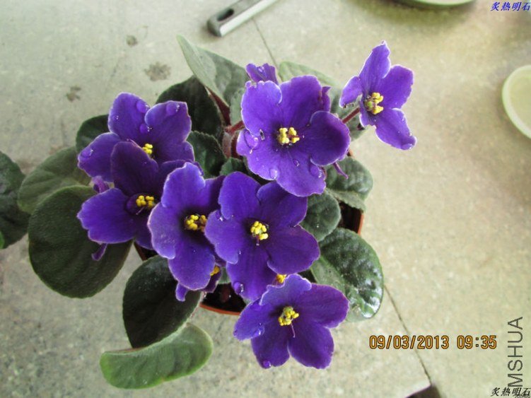 IMG_3318_nEO_IMG.jpg