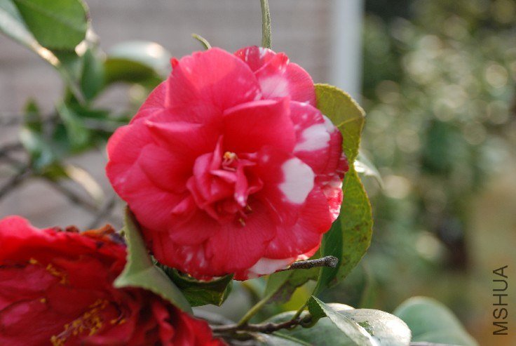 DSC_0069.JPG