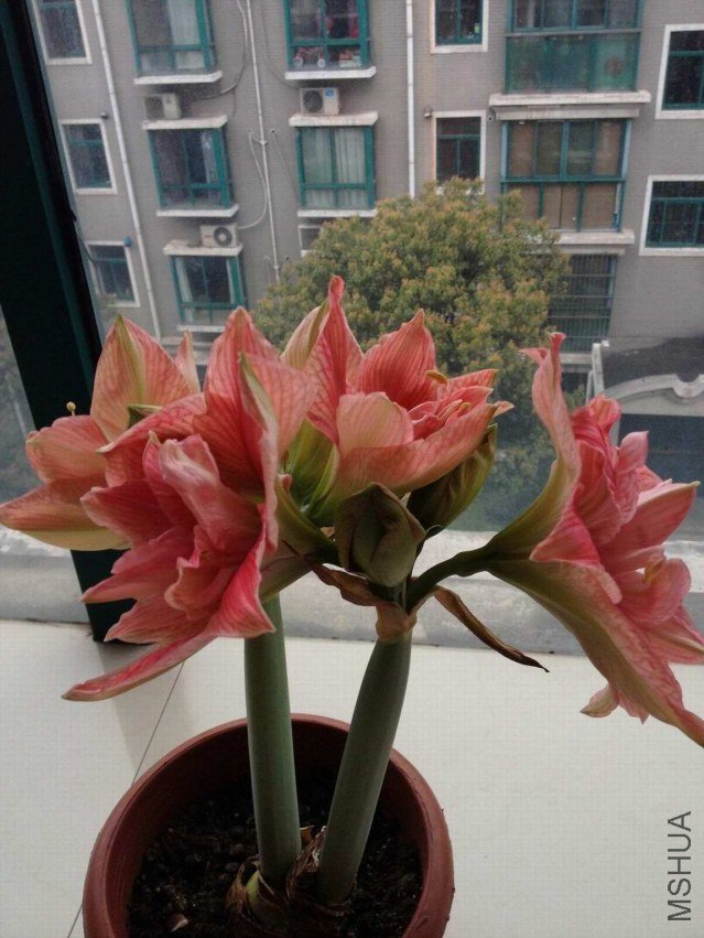 ��ת ��Ƭ 002.jpg