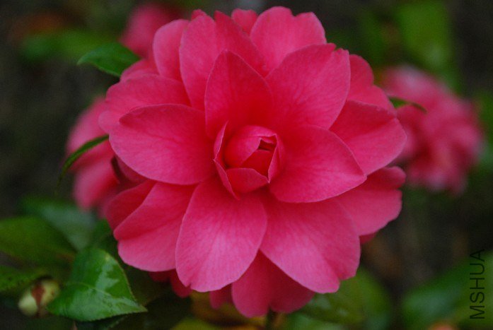 DSC_0072.JPG