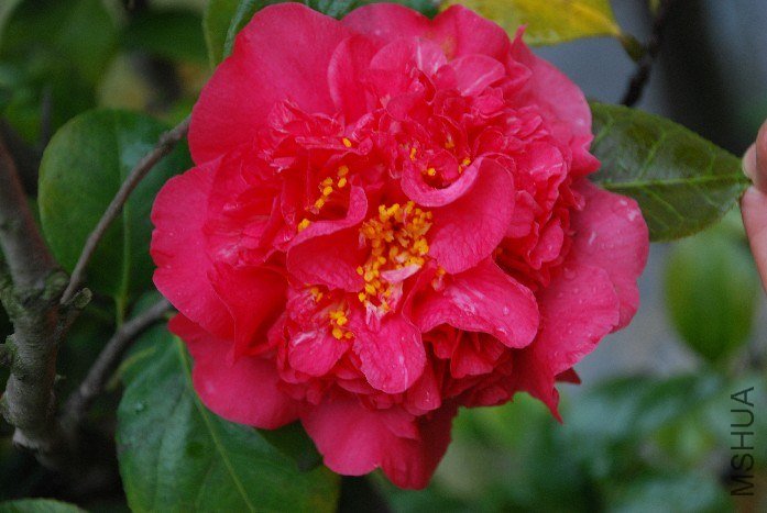 DSC_0075.JPG