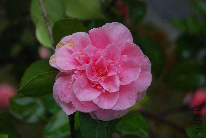 DSC_0119.JPG