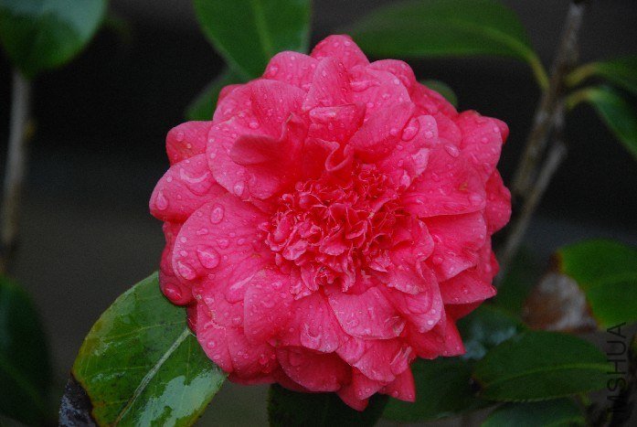 DSC_0120.JPG