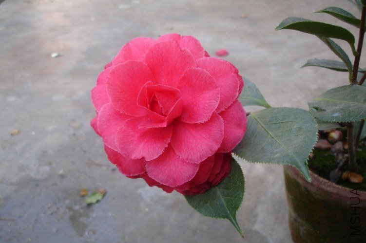 QQ��ͼ20130324181250.jpg