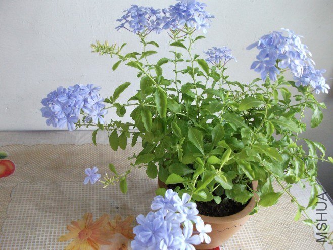 conew_��Ƭ 005.jpg