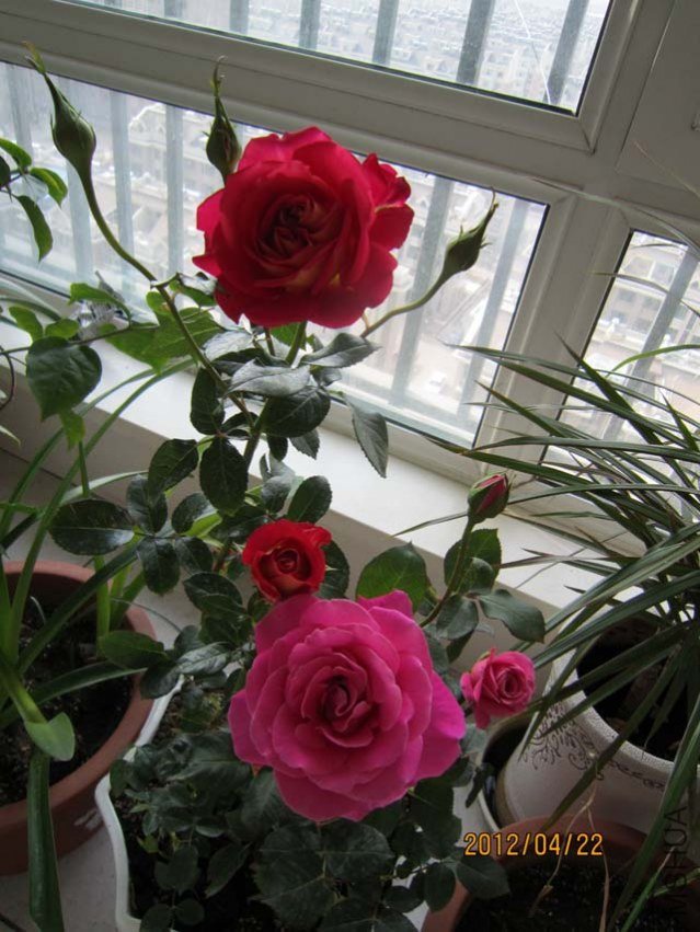 IMG_0002.jpg
