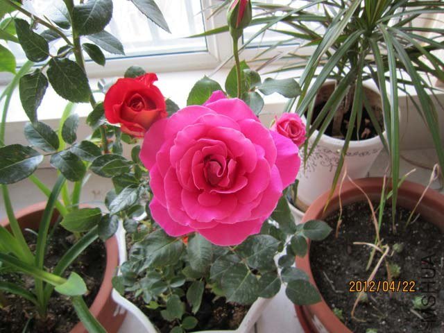 IMG_0003.jpg