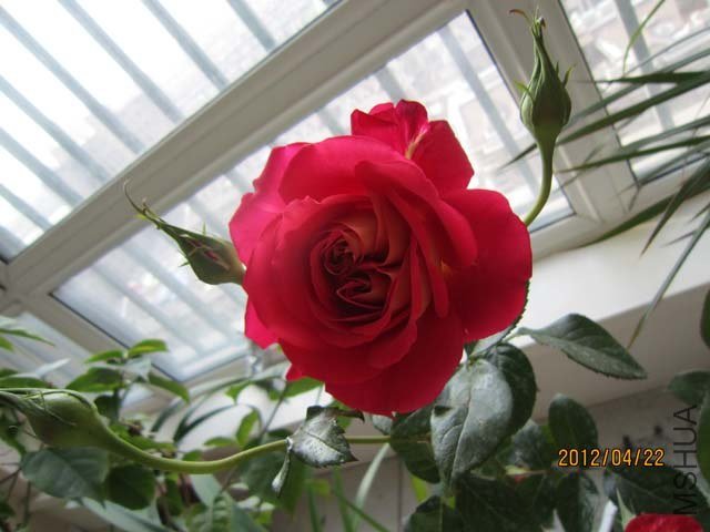 IMG_0005.jpg