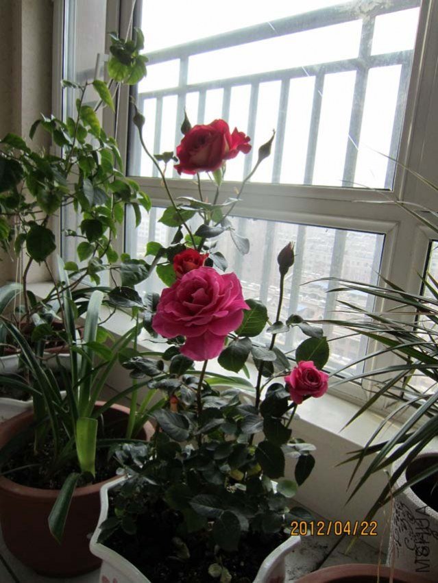 IMG_0007.jpg