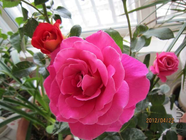 IMG_0010.jpg