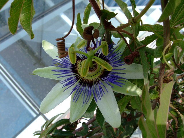 DSCF1223.JPG