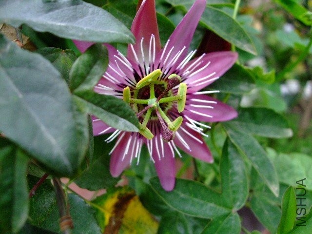 DSCF1212.JPG