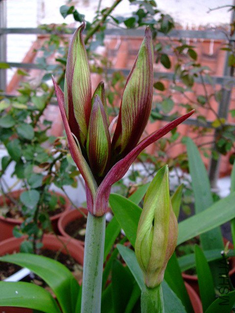DSCF1285.JPG