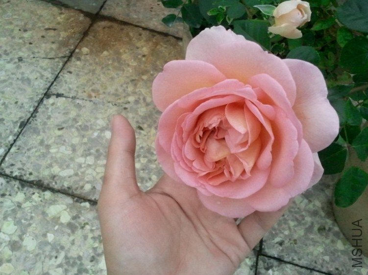 2013-03-20 12.09.51.jpg