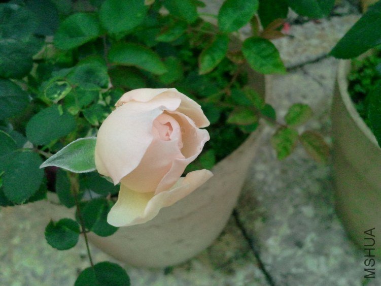 2013-03-20 12.11.44.jpg