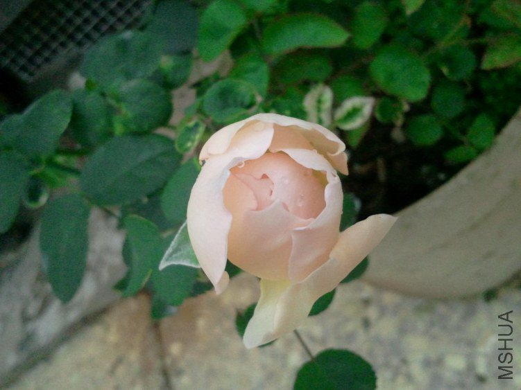 2013-03-20 12.12.10.jpg
