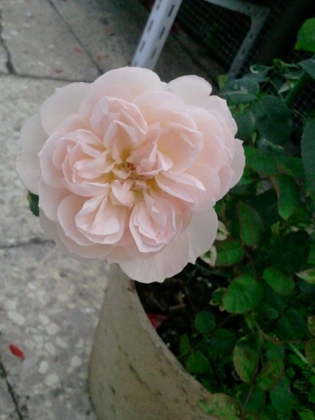 2013-03-21 12.58.06.jpg