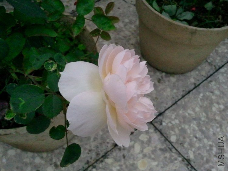 2013-03-21 12.58.28.jpg