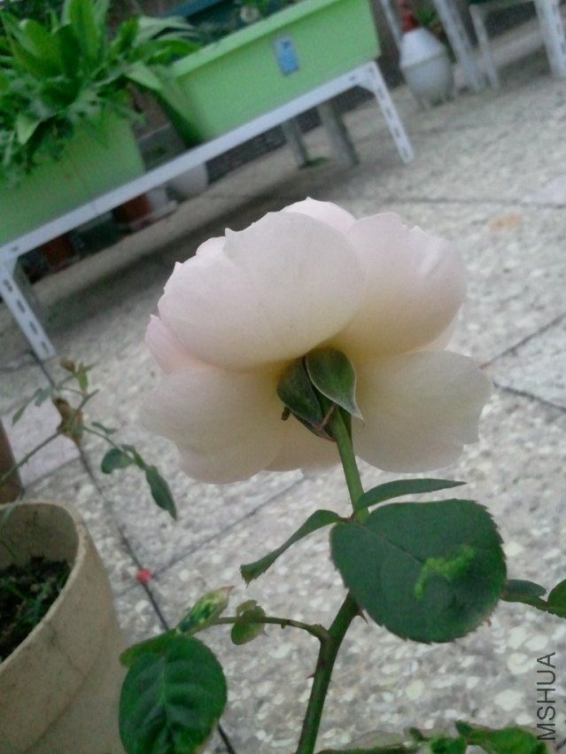 2013-03-21 13.00.00.jpg