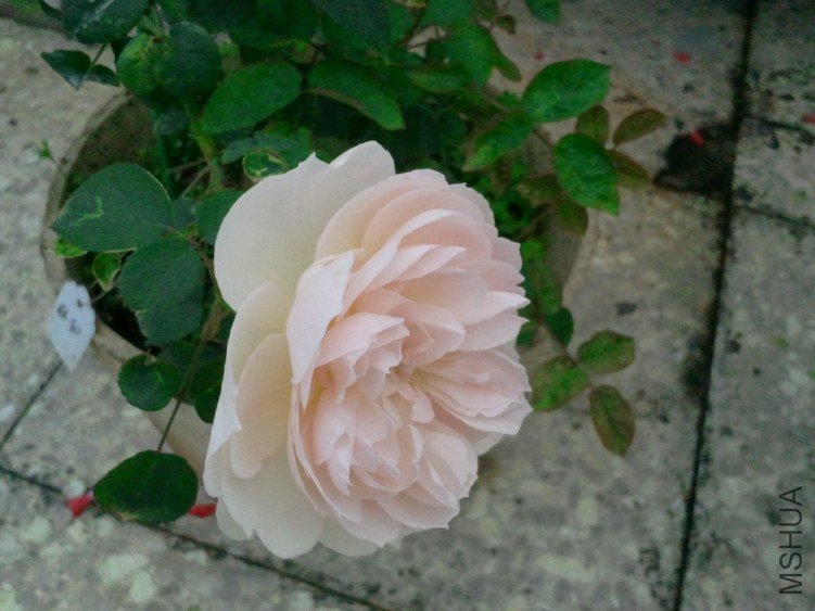 2013-03-21 13.00.21.jpg
