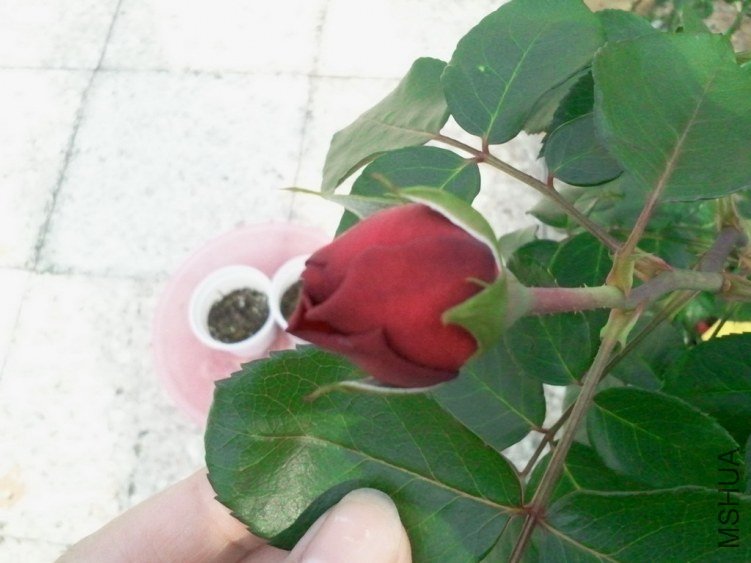 2013-03-22 15.05.06.jpg