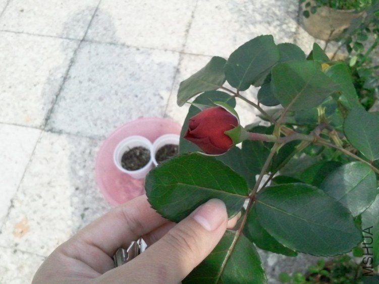 2013-03-22 15.05.25.jpg