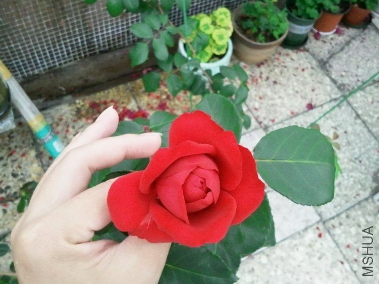 2013-03-24 14.59.48.jpg