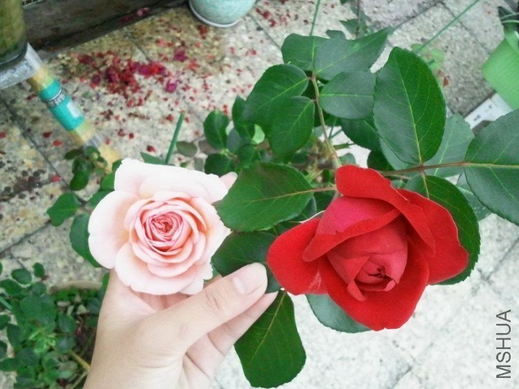 2013-03-24 15.00.22.jpg