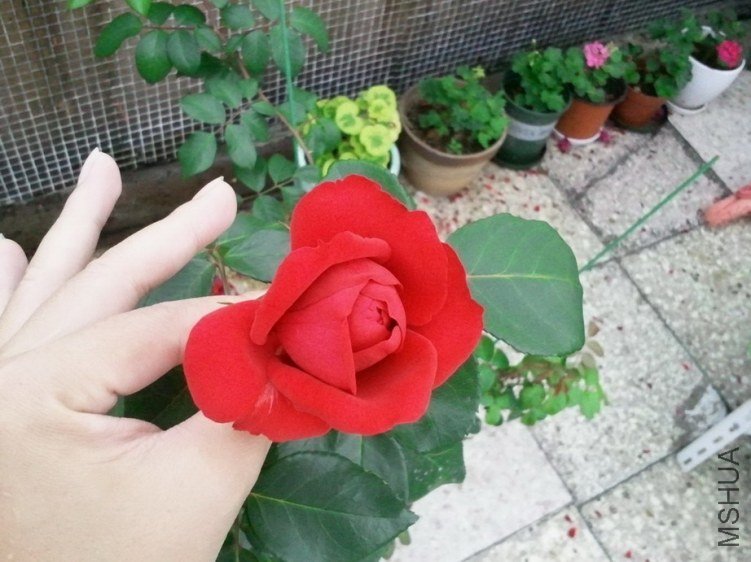 2013-03-24 14.59.37.jpg