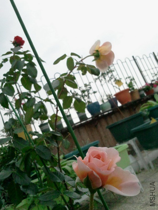 2013-03-24 14.58.59.jpg