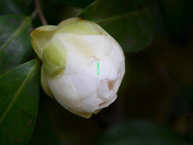 ������20130322002.jpg
