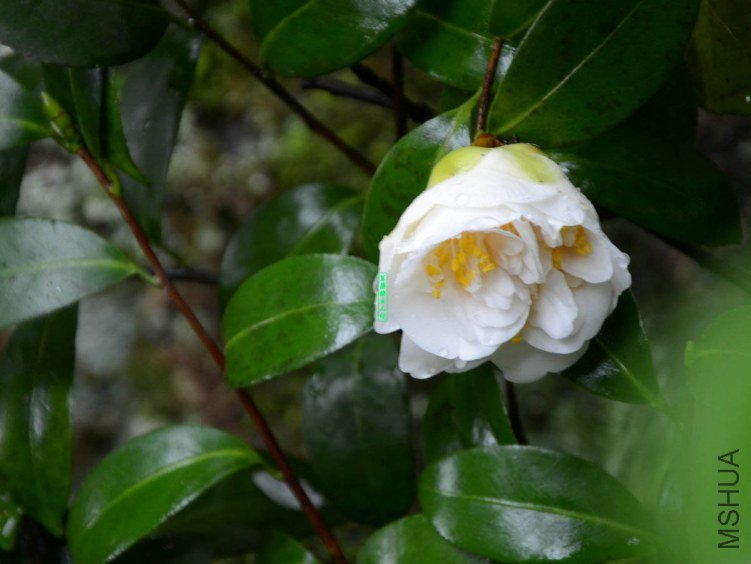 ������20130323005.jpg