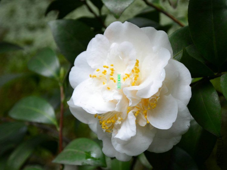 ������20130325009.jpg