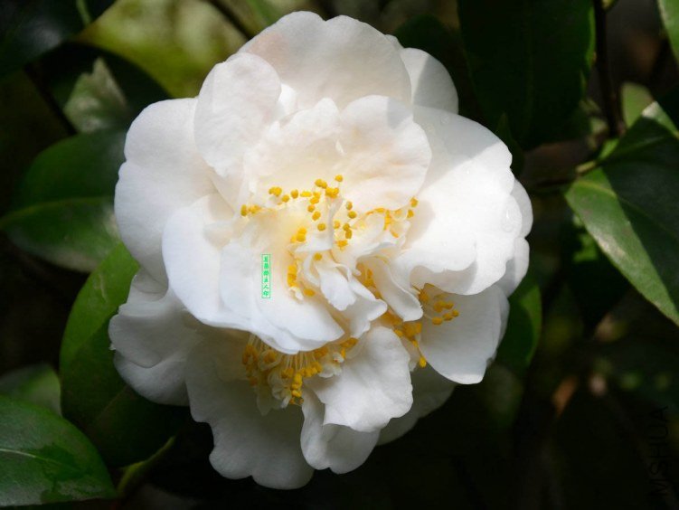 ������201303250011.jpg