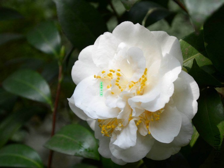 ������201303250013.jpg