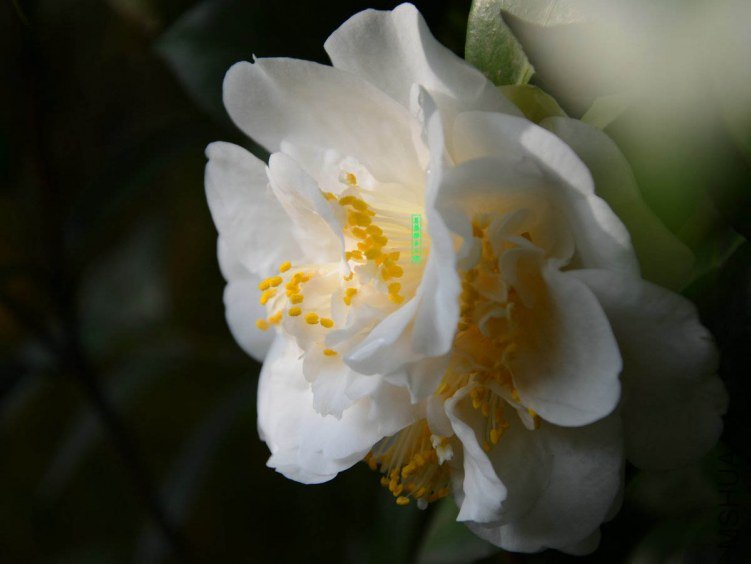 ������201303250015.jpg
