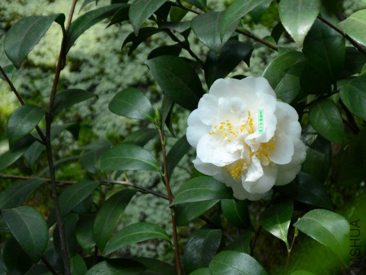 ������201303250017.jpg