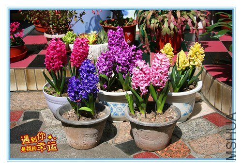 ��Ƭ 068_����.jpg