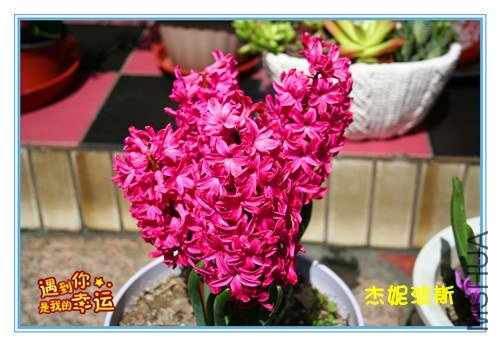 ��Ƭ 069_����.jpg