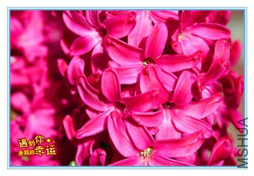 ��Ƭ 070_����.jpg