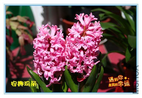 ��Ƭ 071_����.jpg