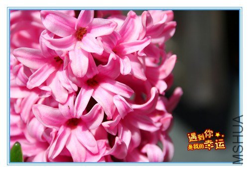 ��Ƭ 072_����.jpg