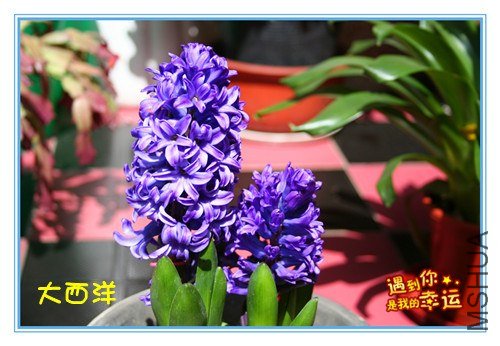 ��Ƭ 078_����.jpg