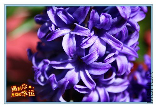 ��Ƭ 079_����.jpg