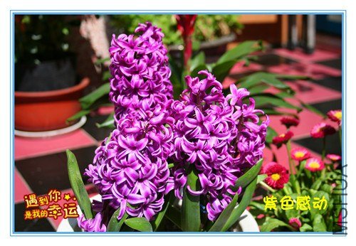 ��Ƭ 080_����.jpg