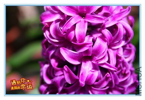 ��Ƭ 081_����.jpg