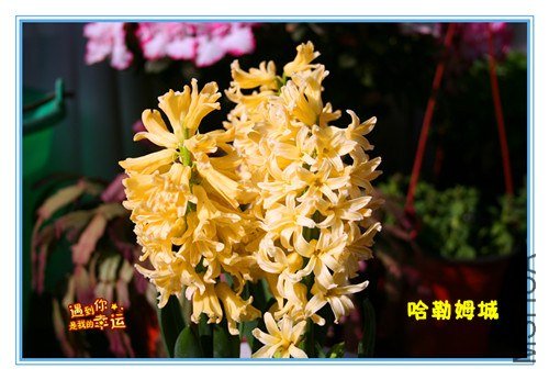 ��Ƭ 082_����.jpg