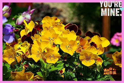 ��Ƭ 023_����.jpg