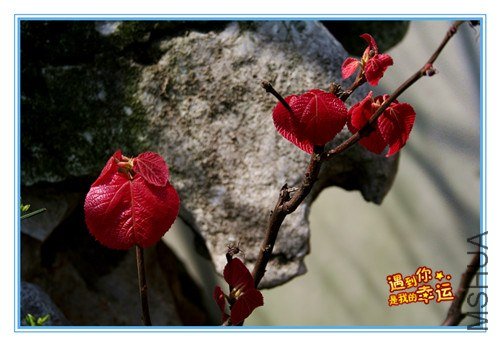 ��Ƭ 016_����.jpg